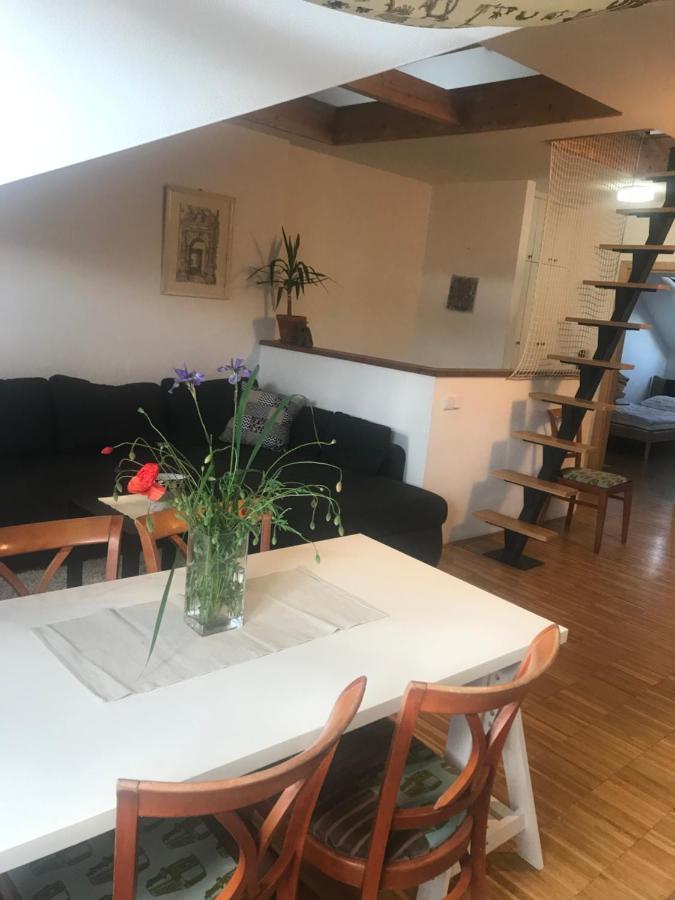 Apartman Slovinska 28 Брно Экстерьер фото