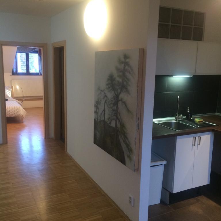 Apartman Slovinska 28 Брно Экстерьер фото