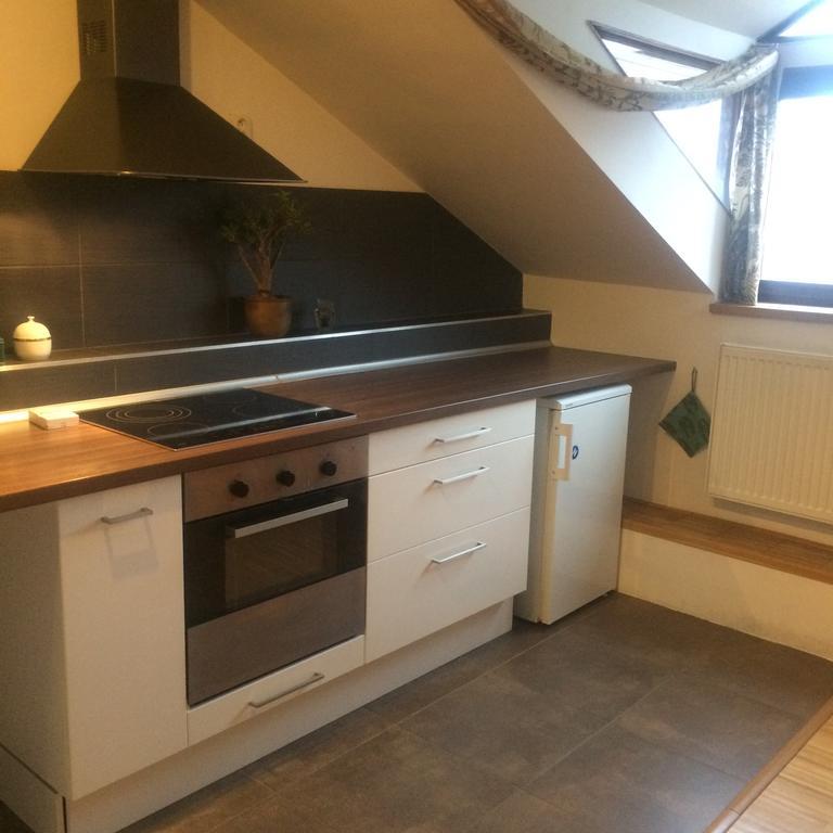 Apartman Slovinska 28 Брно Экстерьер фото